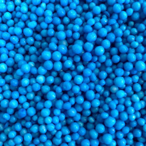 20190729_092700_IMG_6559_2