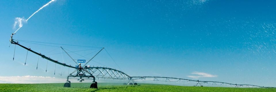 Maximising Growth,
Minimising Costs