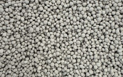ddcrop-2024